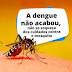 Tendo como referência o ano de 2021, casos de dengue aumentam 95% no Brasil