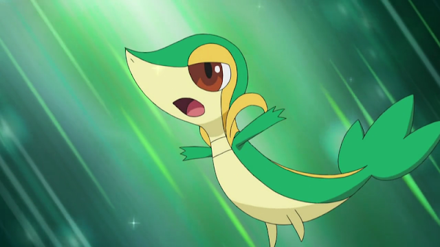 Snivy Ash