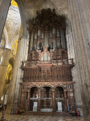 Picture of Organ