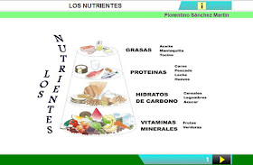 http://www.ceiploreto.es/sugerencias/cplosangeles.juntaextremadura.net/web/curso_4/naturales_4/los_nutrientes/los_nutrientes.html