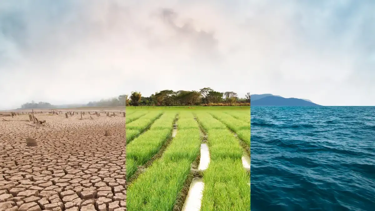 Scientists Propose "Restorative" Pathway to Tackle Climate Change Crisis