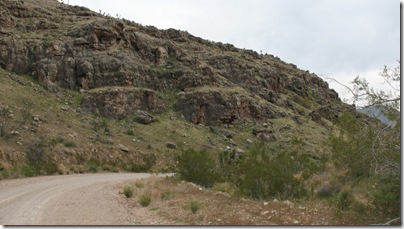 2012-03-28 Beaver Dam Wilderness, AZ (92)