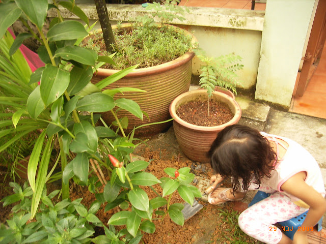 hobi berkebun