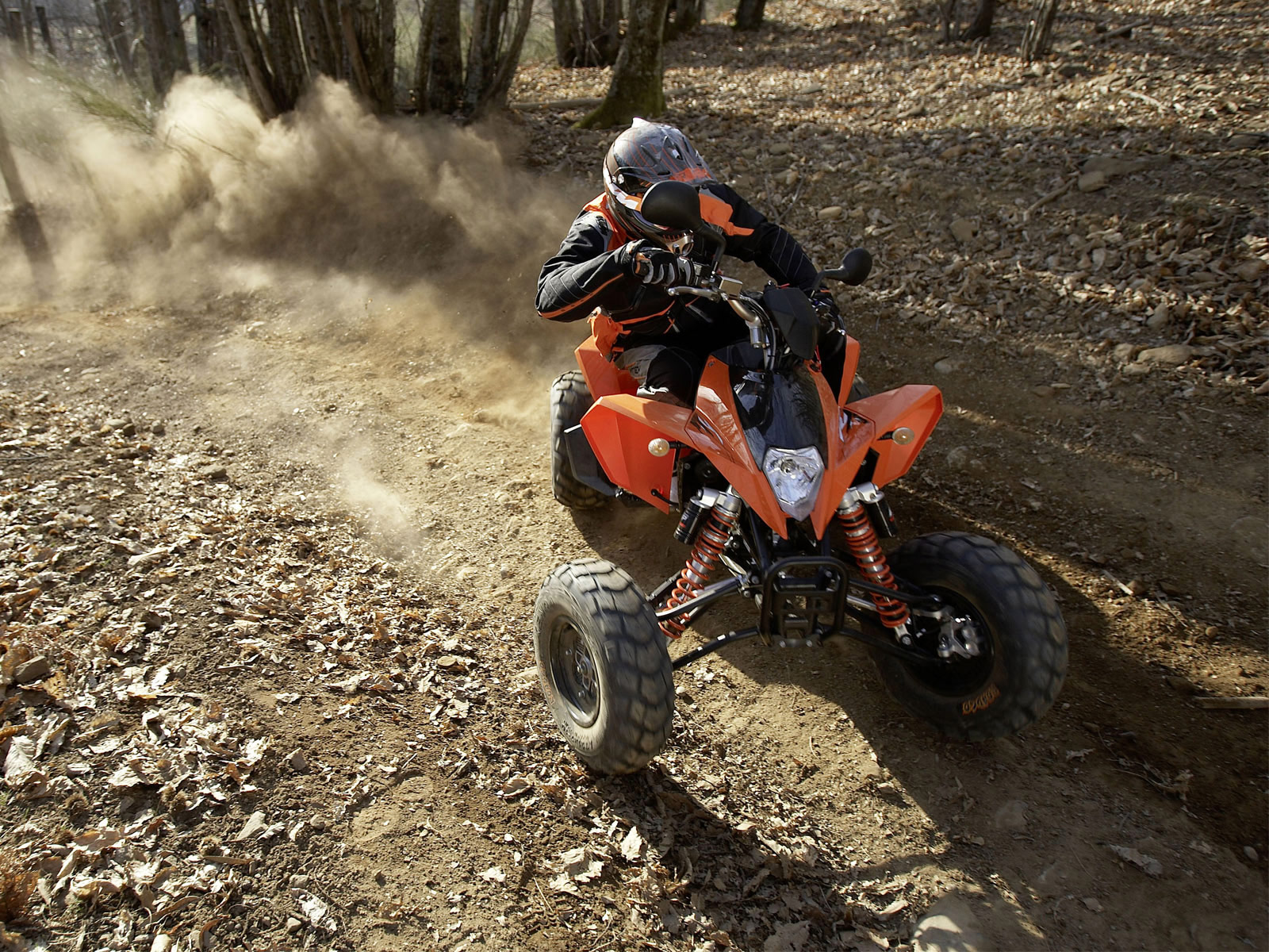 2010 KTM 525 XC ATV pictures and specifications