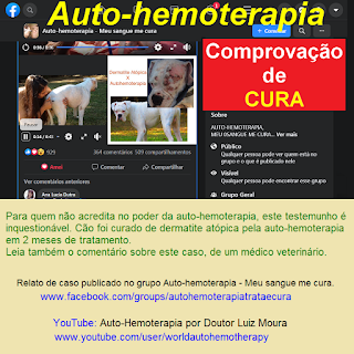 RELATO DE CASO COMPROVANDO A EFICÁCIA DA AUTO-HEMOTERAPIA EM DERMATITE ATÓPICA CANINA