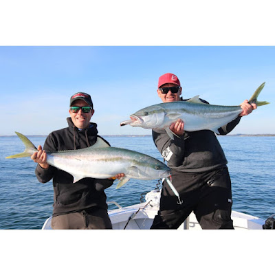 Double hookup kingfish