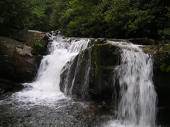 DSCN3617
