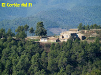 El Cortès del Pi des de sota el Turó del Pi de Malla