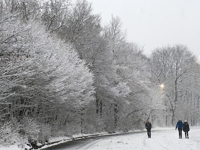 Brooklyn writer in Prospect Park