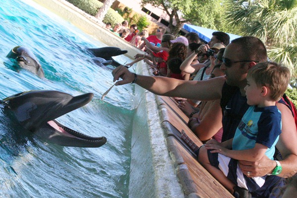 Sea World 190