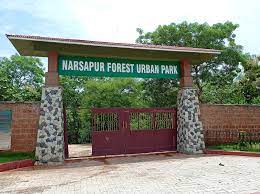 Camping near Hyderabad narsapur forest urban park