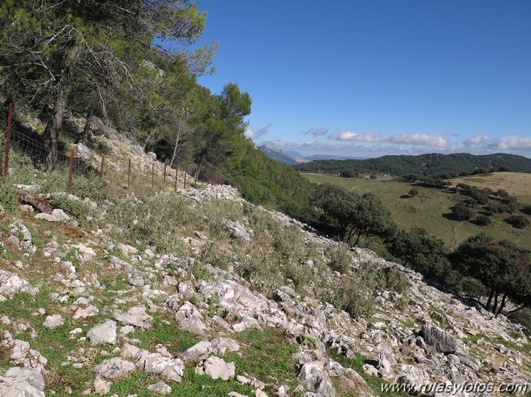 Calzada de Villaluenga a Grazalema