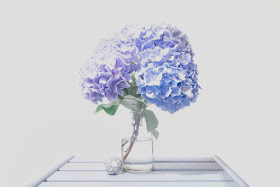 bouquet d'hortensias