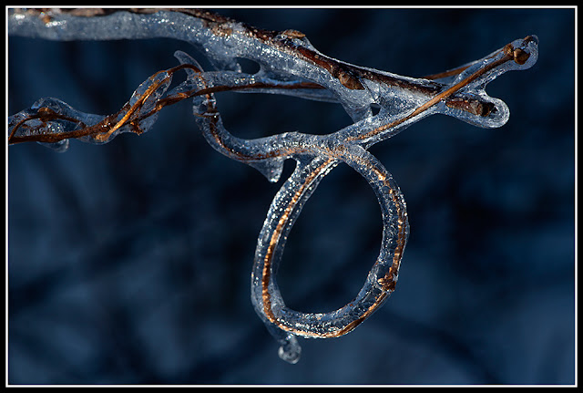 Nova Scotia; Ice Storm; Ice; Petite Riviere