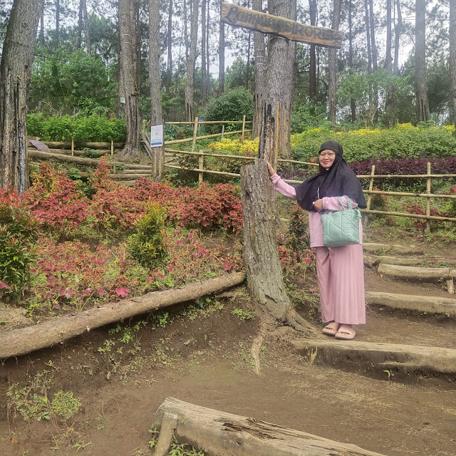 Taman Lampung Cirorek