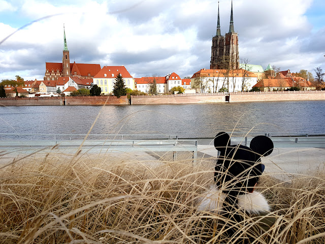 Wrocław - Wroclove - jarmark bożonarodzeniowy we Wrocławiu - mural na ulicy Roosevelta - Ostrów Tumski - 10 rzeczy za które kocham Wrocław - Zaful - styl militarny - czapka H&M z uszami