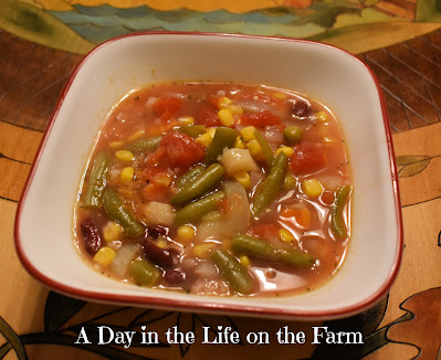 5 can vegetable soup