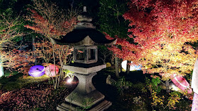 京都 勝林寺 紅葉 ライトアップ