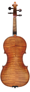 violin backplate