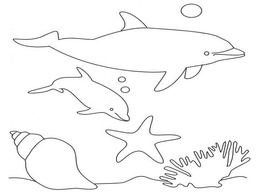 Kumpulan Gambar Ikan Lumba2 Kartun Duinia Kartun
