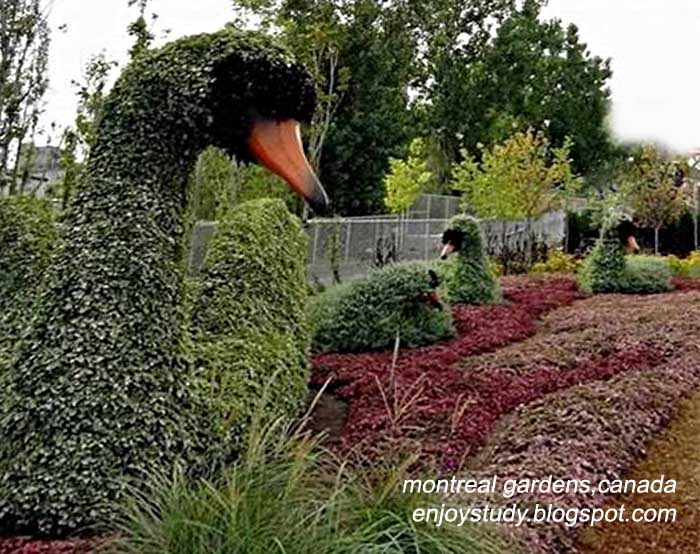 garden sculptures-montral garden canada,garden of birds,frogs and animals