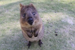 Rottnest Island - 29 November 2009 at 16h21m22s  580 of 611