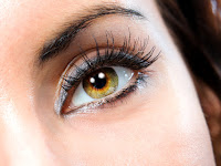 Know the Life Cycle of Beautiful Eyelashes