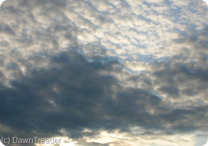 DSCN1893