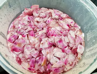 DIY : Make your own Rose water 🌹 by CocoFlowerVerser de l'eau bouillante sur vos pétales de rose - DIY Eau de Rose par CocoFlowder