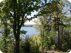 Scenic overlook M-37