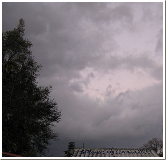 01-10-morning