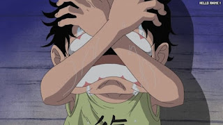 ワンピースアニメ 504話 エース 幼少期 | ONE PIECE Episode 504 ASL
