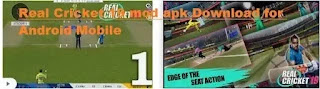 Real Cricket 19 Mod Apk Download for Android Mobile