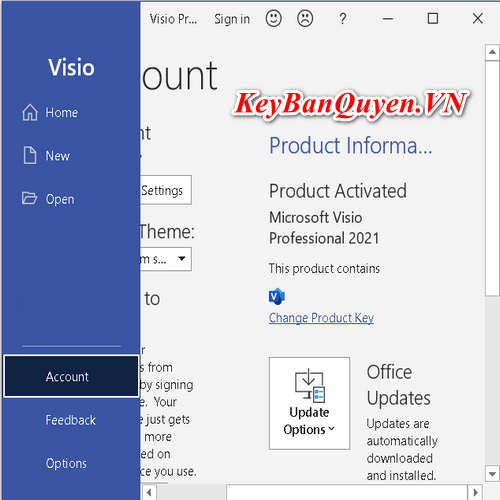 Mua bán key bản quyền Visio 2021 Pro bản quyền uy tín.