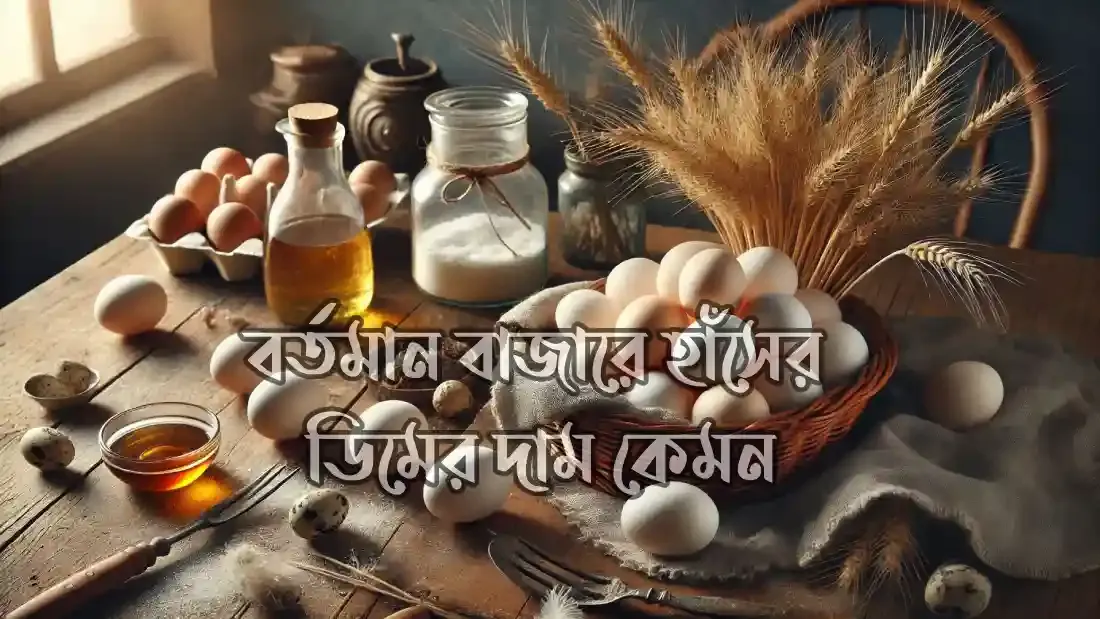 হাঁসের-ডিমের-উপকারিতা-জেনে-অবাক-হবেন
