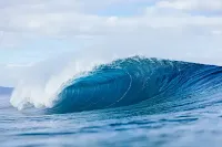 Wave (Foto: Brent Bielmann)