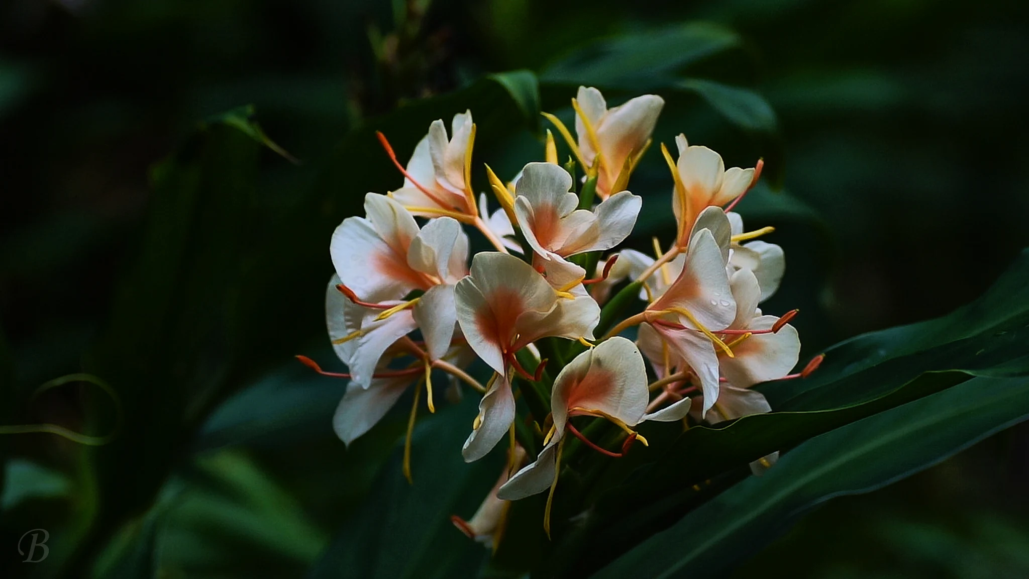 Camera Nerd: Clear Zoom