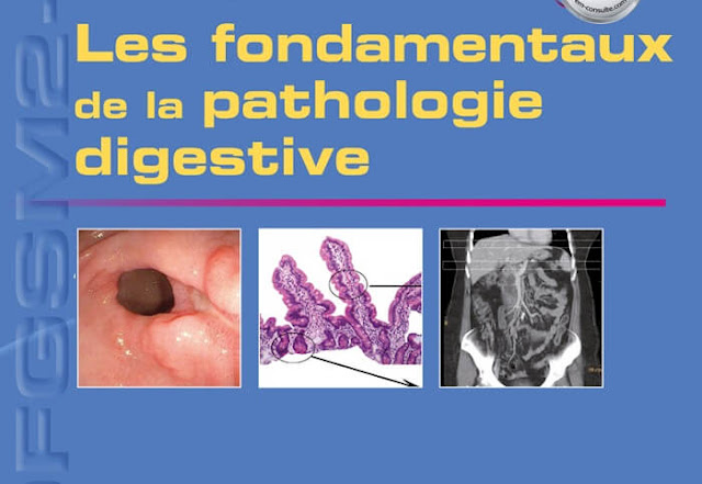 Fondamentaux de la Pathologie Digestive PDF