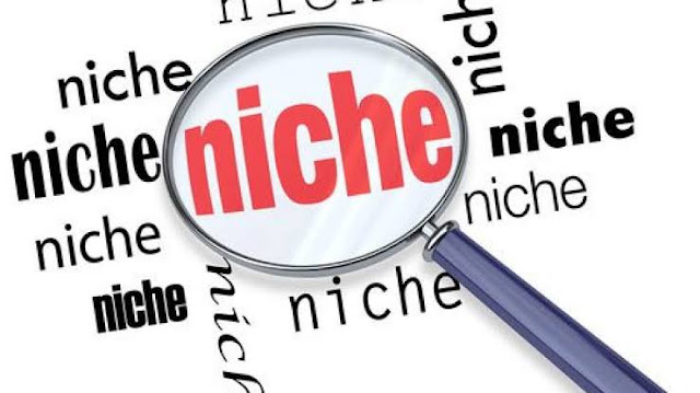 how to find perfect niche