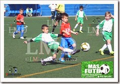 033 Peñón B - Buenavista Preb 14-15