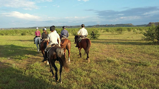 Botswana, riitta reissaa, ratsastusmatka, ratsastussafari, horsexplore