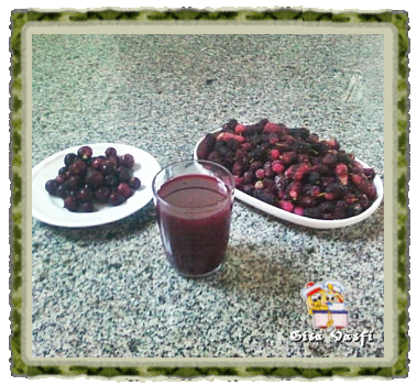 Suco de frutas vermelhas 1