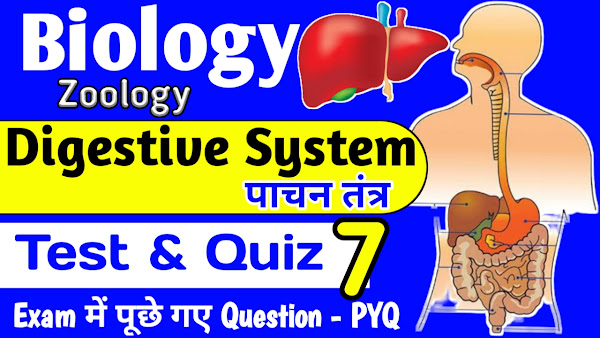 Digestive System विटामिन एंजाइम Quiz 