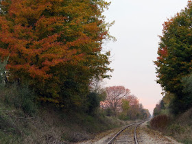 autumn color