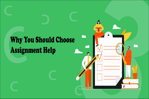 Why You Should Choose Assignment Help