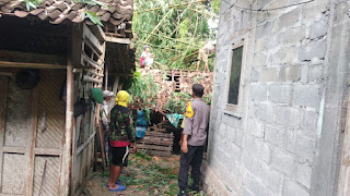 Bhabinkamtibmas Polsek Nanggulan Bergotong Royong Mengevakuasi Pohon Tumbang