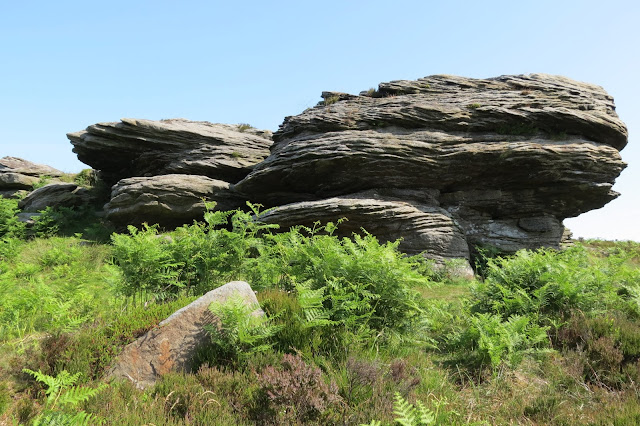 A large, weathered outcrop of gritstone, bracken at its base and blue skies behind it.