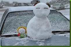 clip_image017