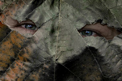 Kids will love making a leaf mask out of leavves they find in the yard! 