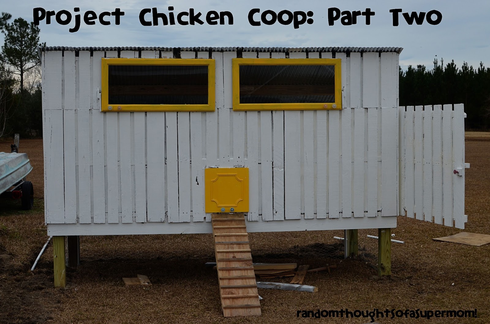 Pallet Chicken Co-op